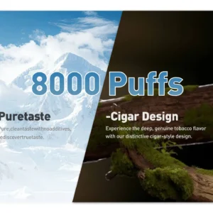 Airis Beast 8000 Puffs